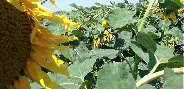  Real passion of teenage couple in the field of sunflowers